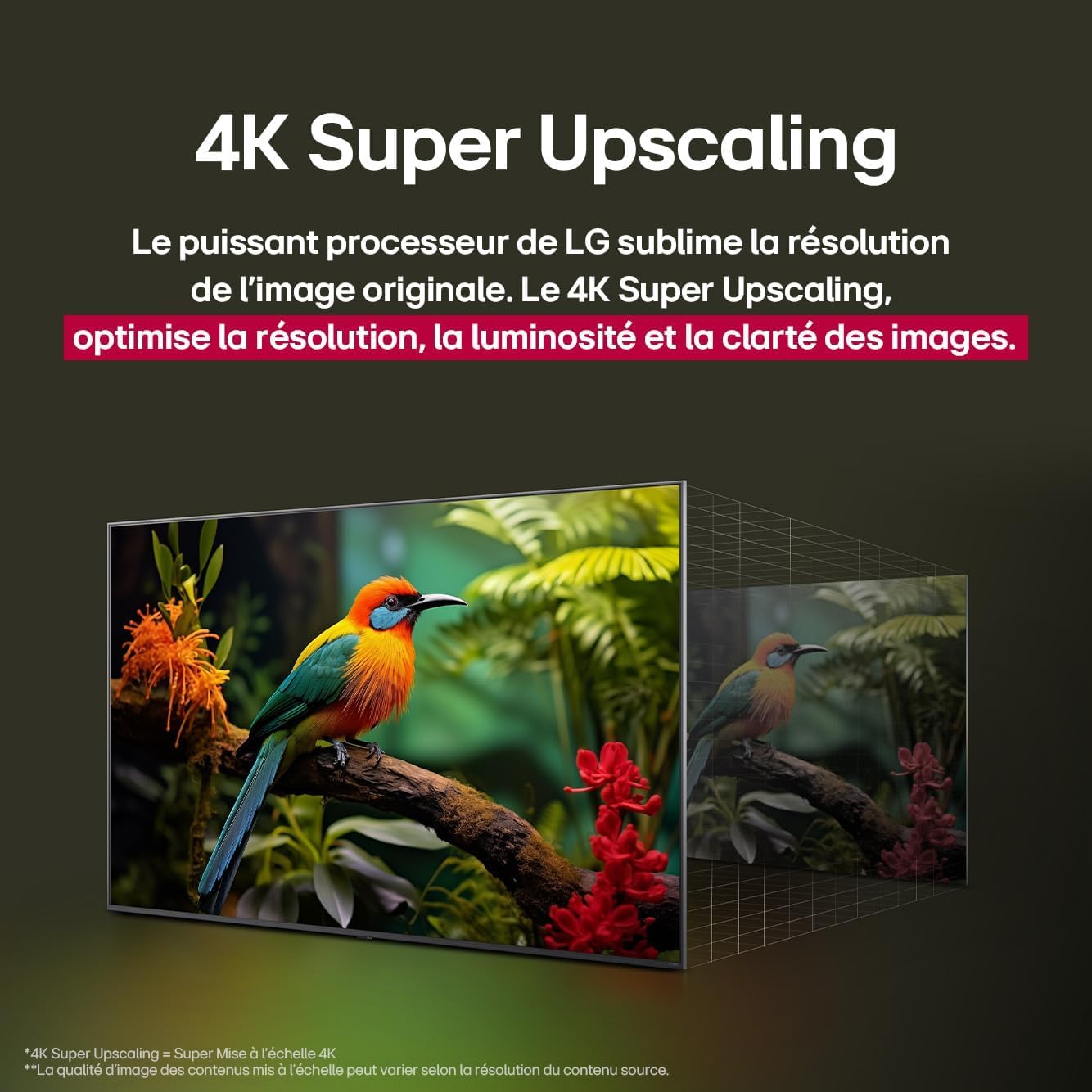 LG TV NANOCELL AI 2025 | 75NANO90| 75'' (189cm) | 4K UHD | HDR10 |webOS 25 | Télécommade AI Magic Remote | Alexa, Google Assistant | Netflix Disney+ Canal+ Prime Video | AirPlay 2 | Couleurs Pures